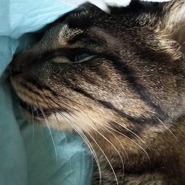 Daf20245 399e 4b61 9384 415a4d14ae60 1535168523717