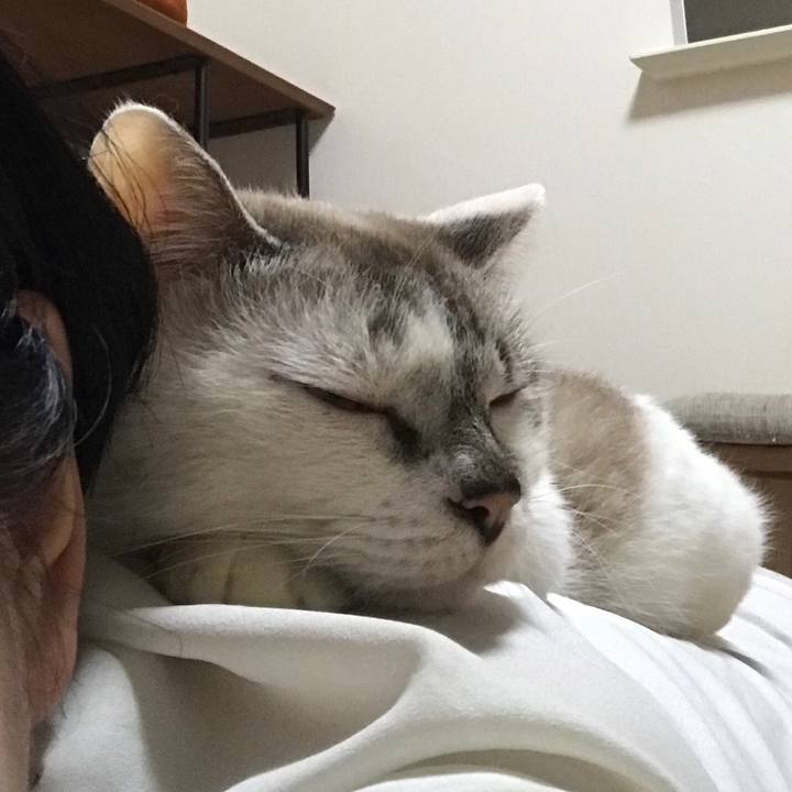 Daf20495 224a 4525 9d72 e9fd624e07bb 1538032563107