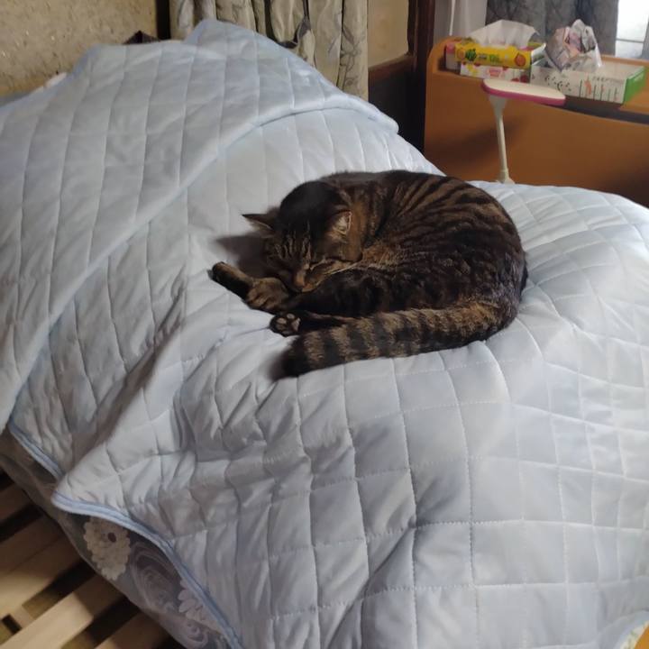 Daf20ae7 cdfe 4a15 9585 364f6430d024 1738893096629