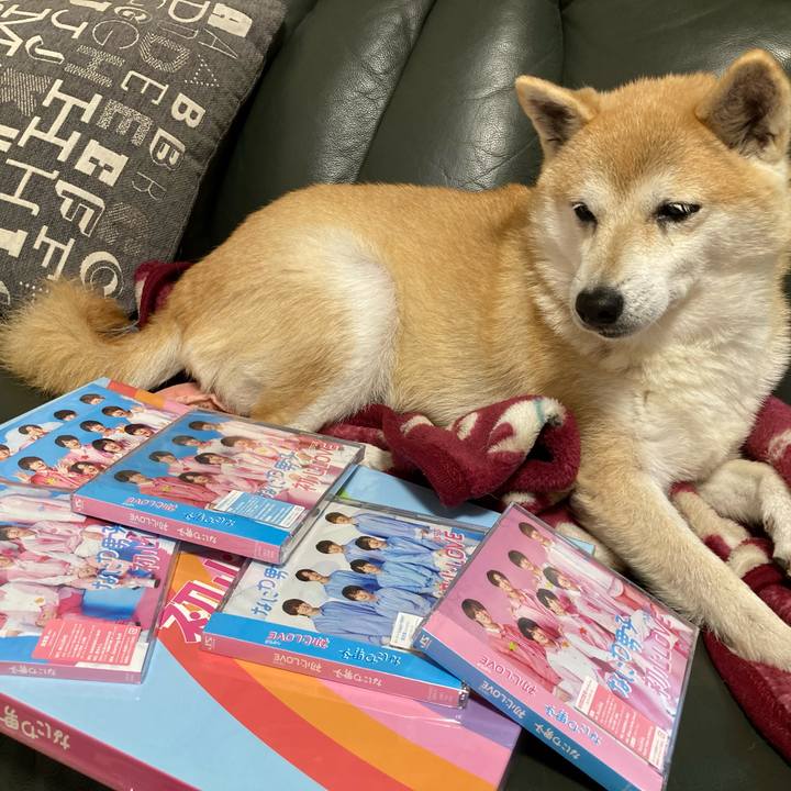 Daf2204a a876 4f34 a4e0 d9fd54849588 1636721406791