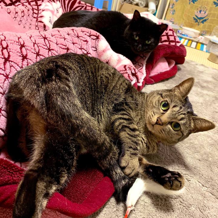 Daf230da fd90 4717 b3de c00f4df59361 1545610489958