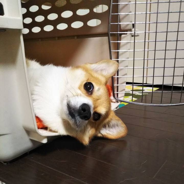 Daf25224 b4d0 49fb a4fb a741dfc4d16b 1578756684106