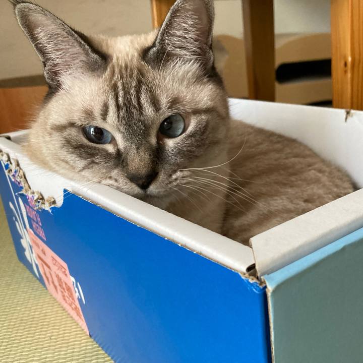 Daf274bb 8b77 4bb6 992d 814e36d6adce 1663411875315