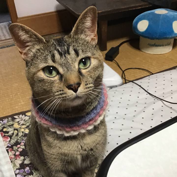 Daf2a1c7 fe74 43f2 81b7 712fe7af603c 1621847785132