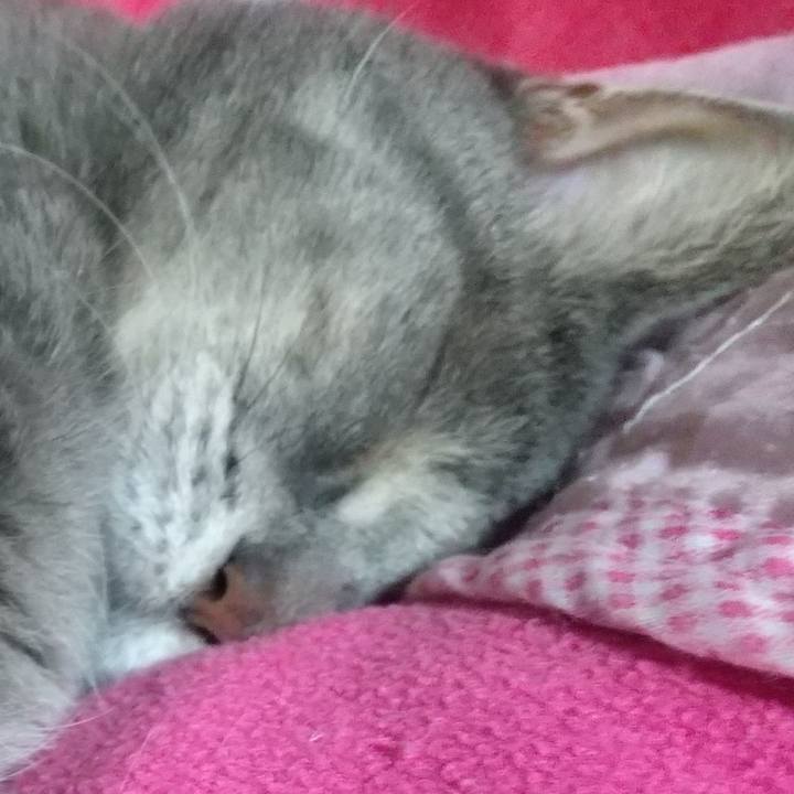 Daf2bbf7 3c4d 4c40 b5cf 90fec171cde6 1628339811344