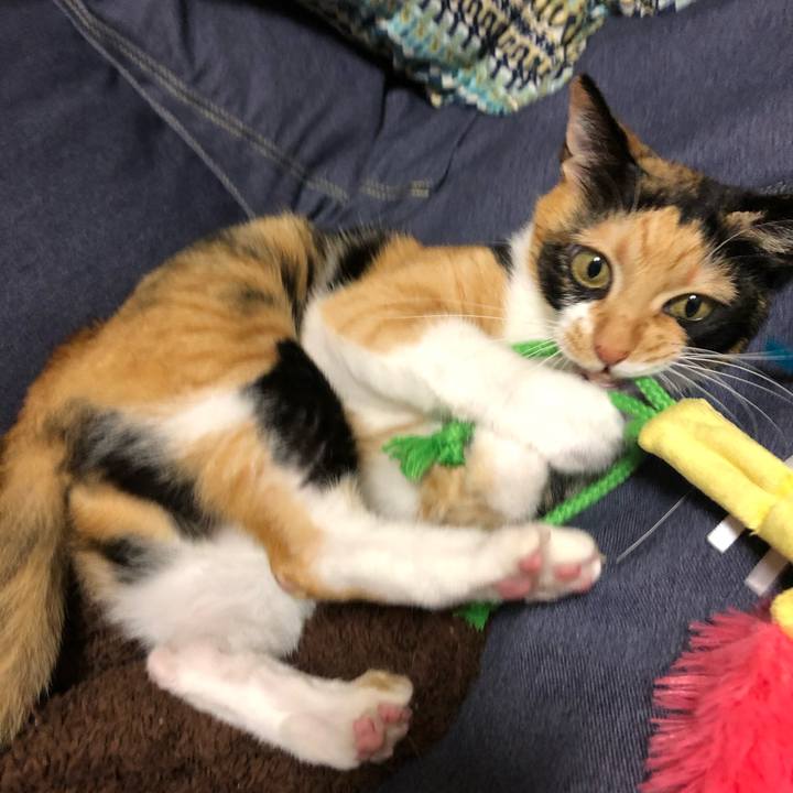 Daf2d079 c550 4074 8269 1e62902efcf3 1543315439275