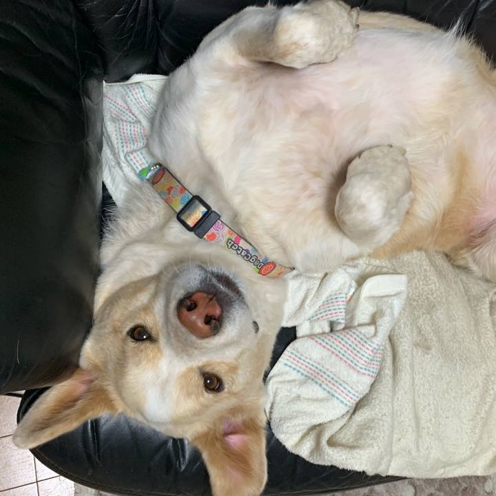 Daf2d8b4 afd9 48d0 b5c9 01829b09a91e 1553522418087