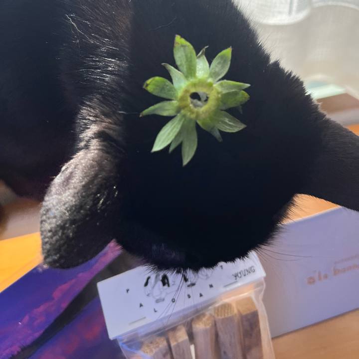 Daf2f5ce c987 4682 8fe4 f156cdc19773 1678151336449