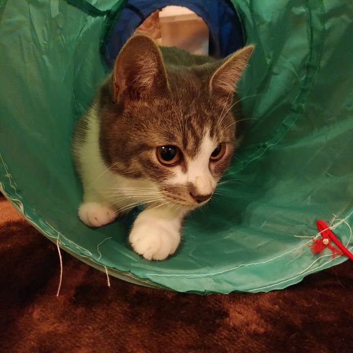 Daf3005a 4773 4daa b33c 93b0b3406e51 1572352884736