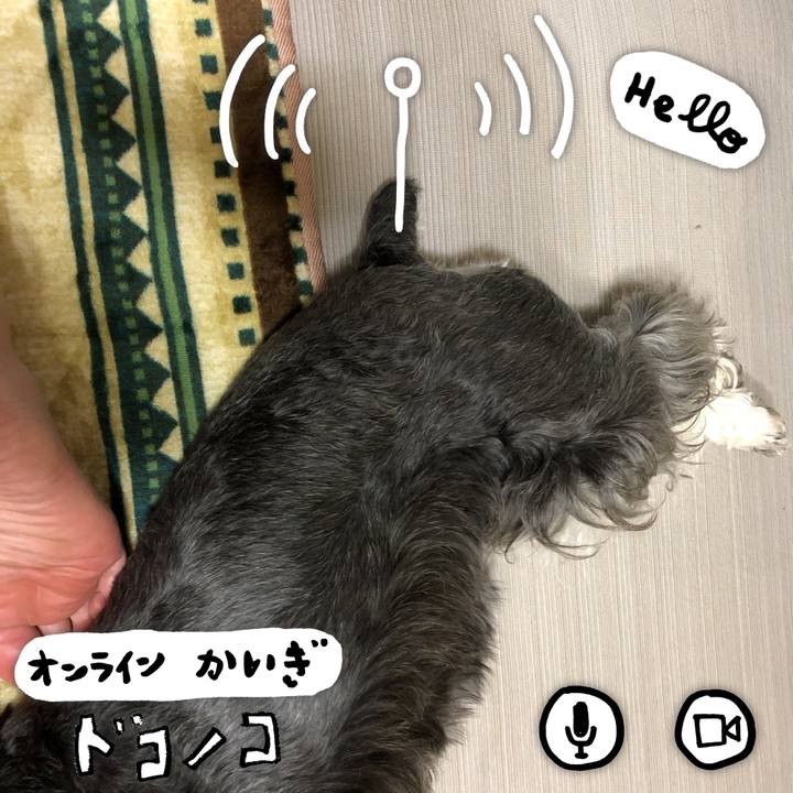 Daf32097 e556 414e b072 e826948583f1 1591791076087