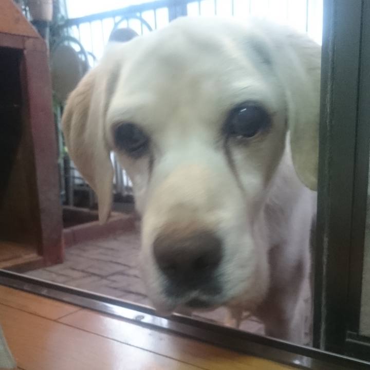 Daf32d08 e79d 4825 b902 f9db75bcbf03 1547887990915