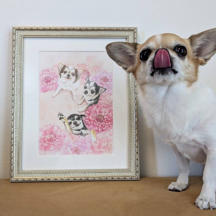 Daf347e7 d847 4318 b8ec 52865c5d8b97 1746954455089