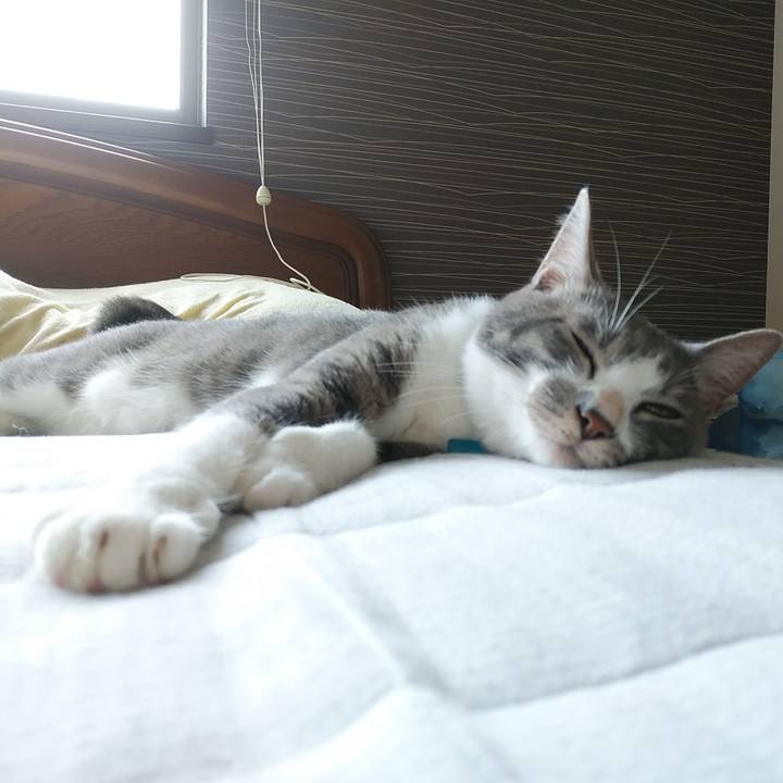 Daf3c728 e8eb 4b86 8016 31d6ff1adebc 1593730033210