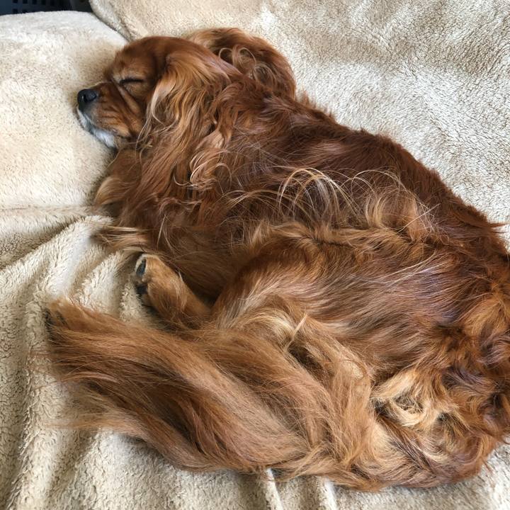 Daf3ccd6 79af 4b8e b057 8a77fdc6e3c4 1608985832163