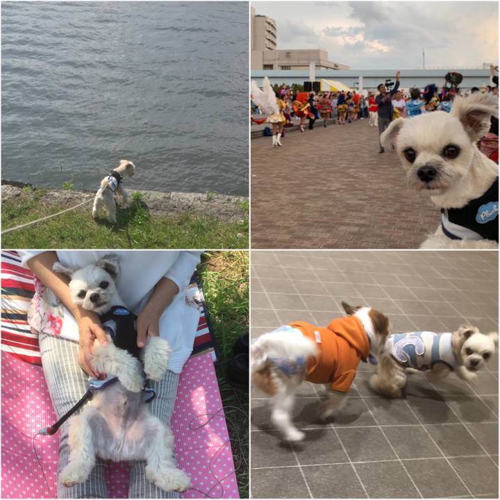 Daf3f4a7 e15d 4174 8f63 26284ff1663d 1556972951302