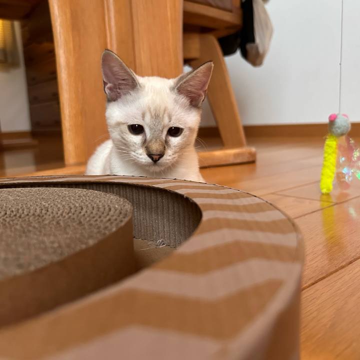 Daf3ff9a c40d 4e33 b622 97596834e8e4 1724277972724