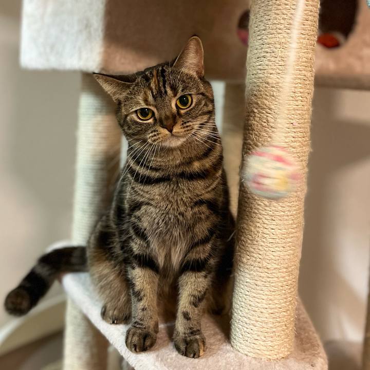 Daf468f2 0e99 4208 889e f51f32976755 1644312614385