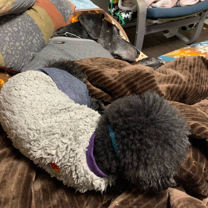 Daf4a6fb 6bc8 4f03 8af1 62d7178fd515 1609842392813