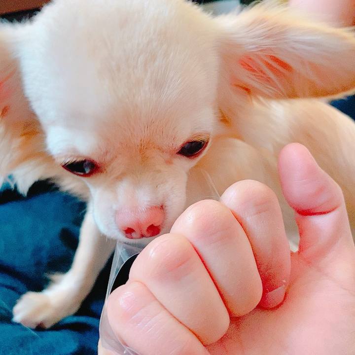 Daf4d617 368a 4726 a101 7cab649ede54 1622779981036