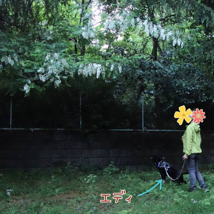 Daf4d73e c1ef 42ac b1f8 25fc25dc21eb 1651662811993