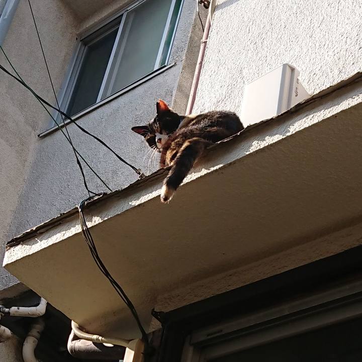 Daf4d752 747f 48d7 b83f 8643fd2d381e 1590795293917