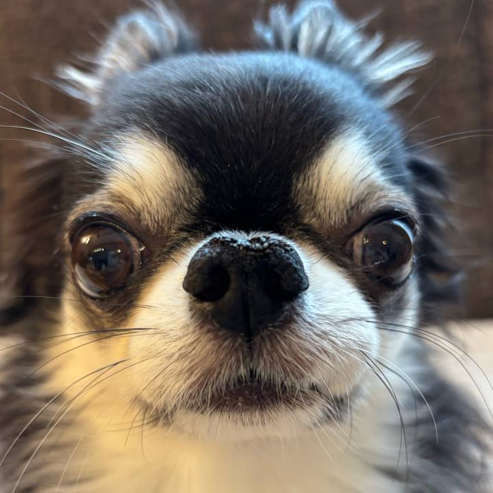 Daf52aab 894f 4dad 9fc4 dbb471884696 1749855264602