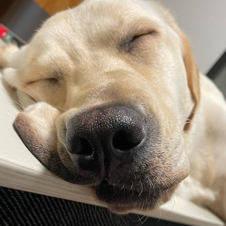 Daf57d8a 1907 44bf 99a0 6a7e2e2e3841 1640875719963