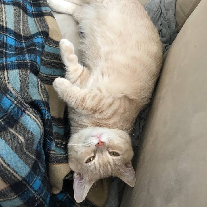 Daf58d81 0f1c 4add 92d7 14d1fe449b62 1532843191284