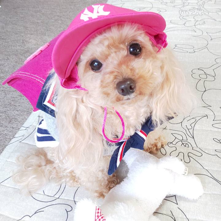 Daf5abb2 dbe0 4403 9575 b5d7391eac72 1572599170560