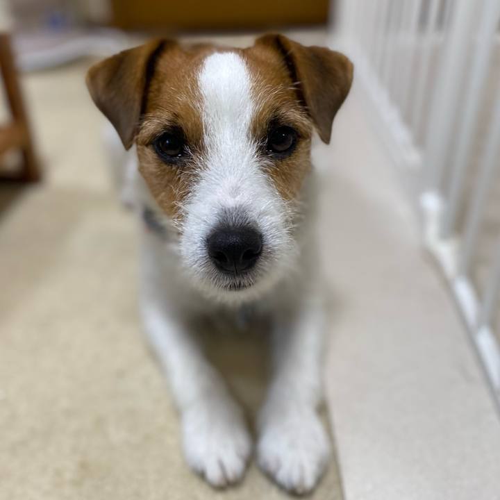 Daf5e94b 1491 405a ae27 3dc099bccb85 1762986465379