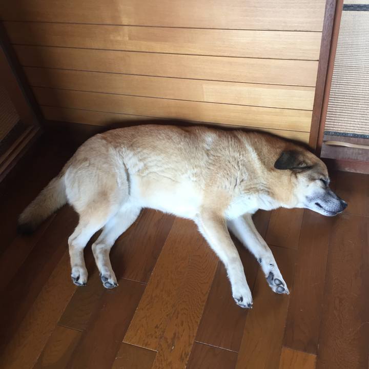 Daf5f28e 9338 4183 a2a4 b9ea051ee48f 1529374086444