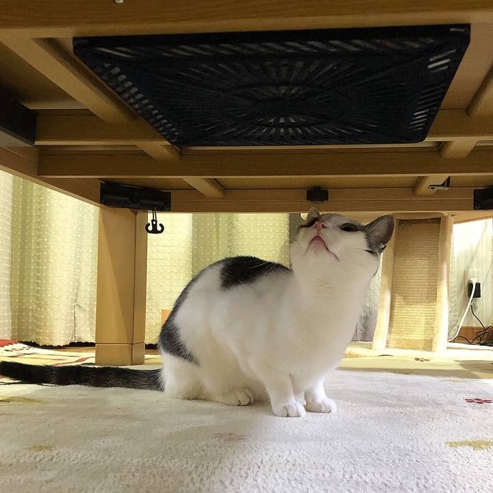 Daf5fd49 e790 43a6 826f a3da90094a08 1683461476180