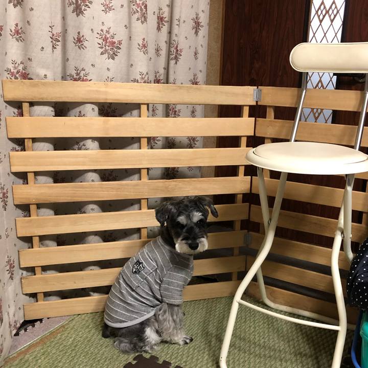 Daf60926 a887 4a75 894a fa9390947ea8 1668176795254