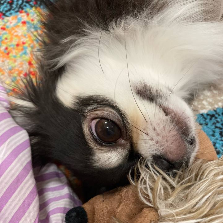 Daf623e4 551f 4327 9e69 dce5a935efd3 1691332748330