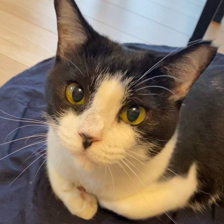 Daf683c5 60df 41c7 8c7f 8ce50d8c4ebf 1726143873060