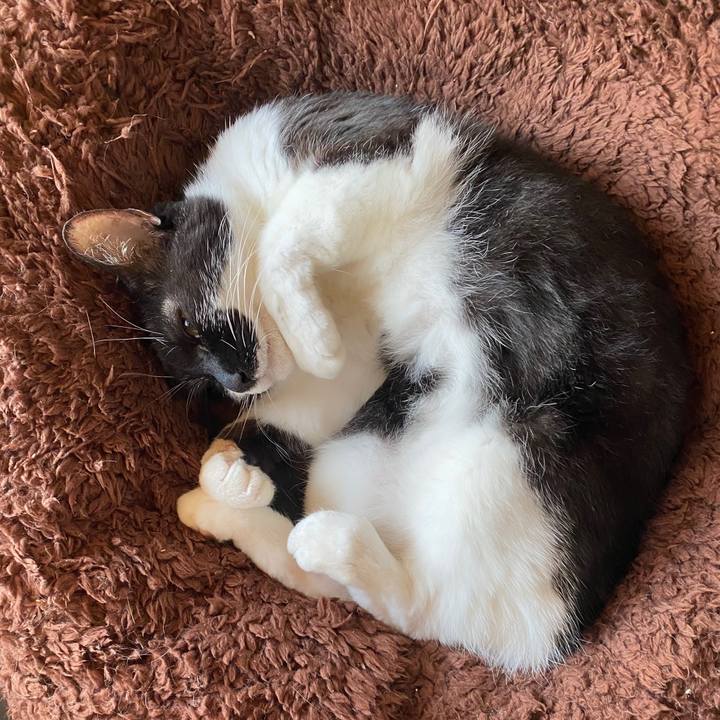 Daf6ab2c f466 47af 88f8 019ca6cc6593 1603710064642