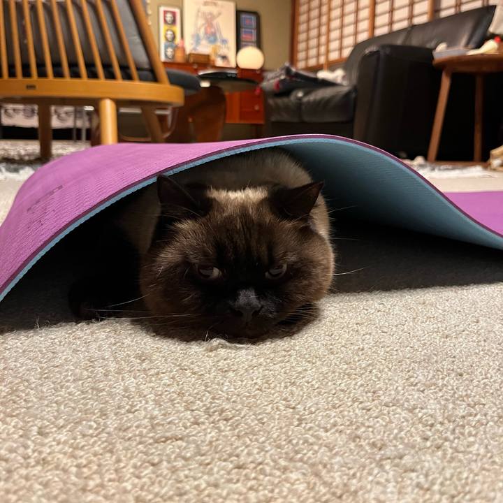 Daf6b645 de6c 4fd8 99e5 213e2777d481 1714620658066