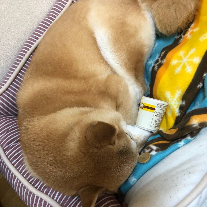 Daf6bdc5 d350 4d69 a770 45141d1520e9 1588029364644