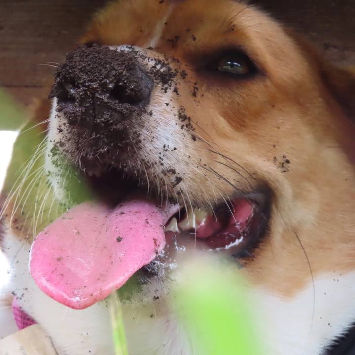 Daf6c09d 24df 4d46 aebf 2323a4fb5856 1625995153345