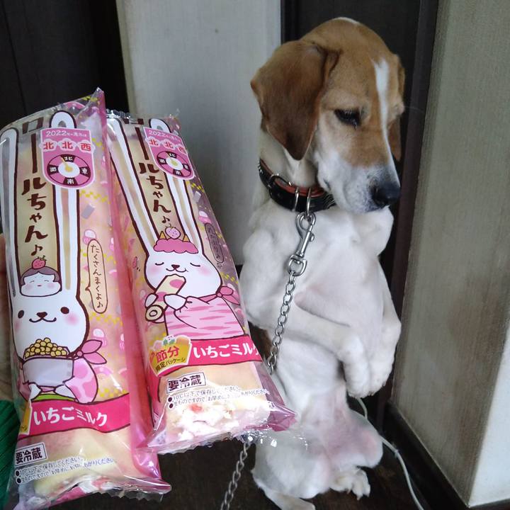 Daf6cc82 5108 461c be84 5b13a538e932 1643610513741