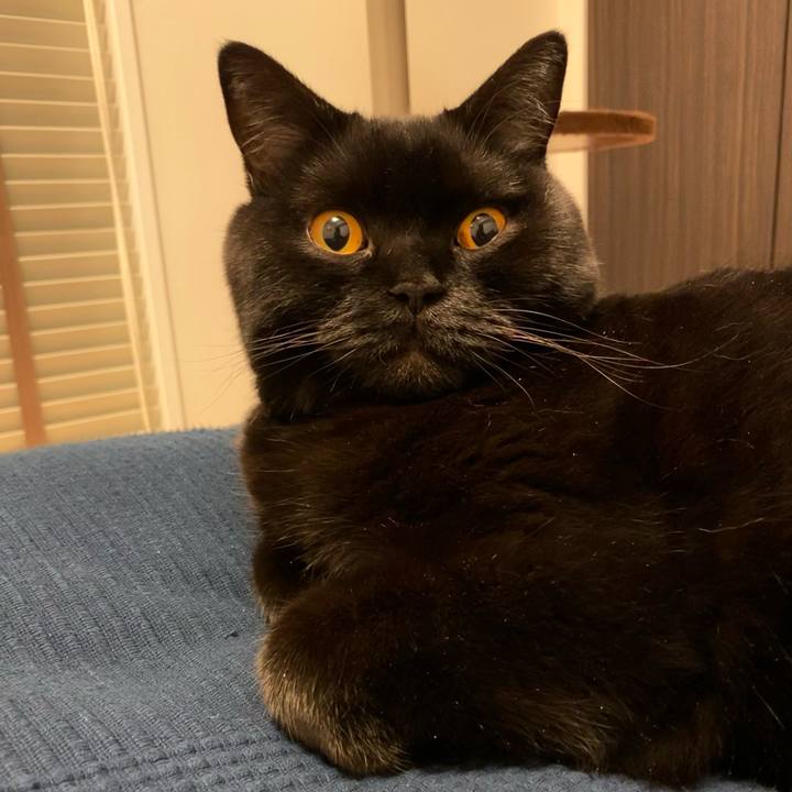 Daf6dd42 7b90 4d54 9232 72c147af79f6 1668688364643