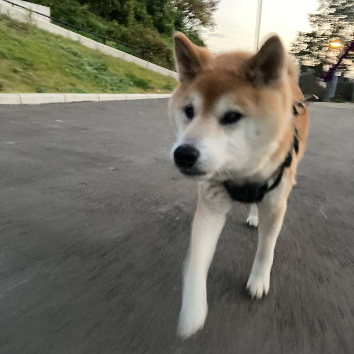 Daf70f21 11a0 4cbb 8f7d f61342a07b13 1607407127734