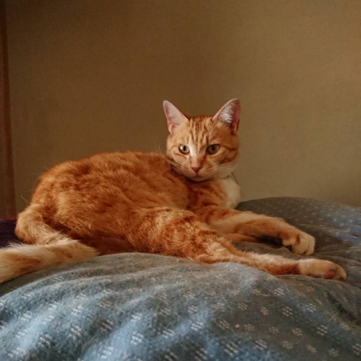 Daf71629 d275 42db a4c0 fd6a538abd5c 1590291667682