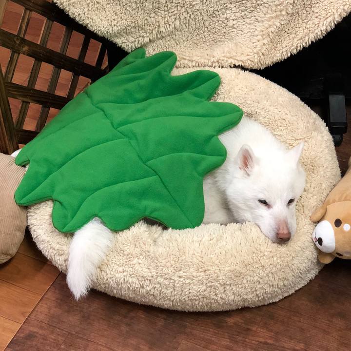 Daf71bbf 7cfa 48d3 9935 045b4da69f35 1746405268164