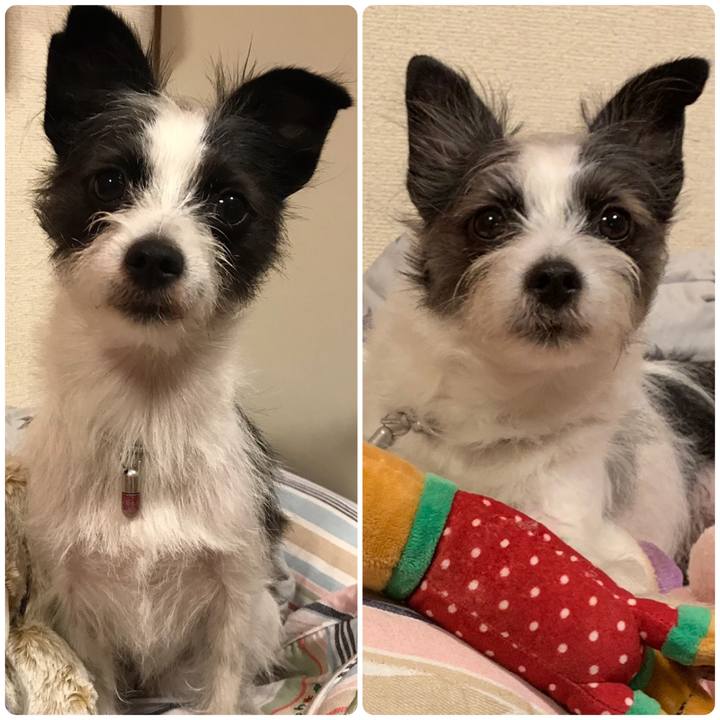 Daf722c5 ad30 442f a030 e36aa7d19d1d 1559038109418