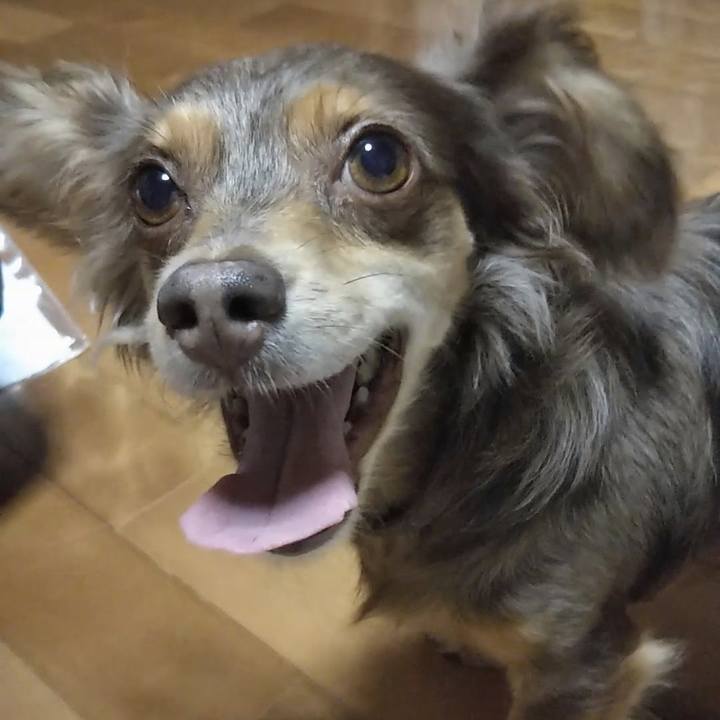 Daf72b35 7207 4c39 9079 99d1c60c8f8d 1532430967390