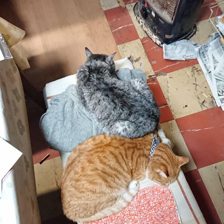 Daf7401b 5a5a 4df8 87bb dd058f5d221b 1576314295786