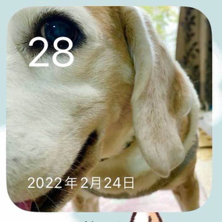 Daf7558a a61f 4db6 9de8 83d67de3ab6c 1709074358355