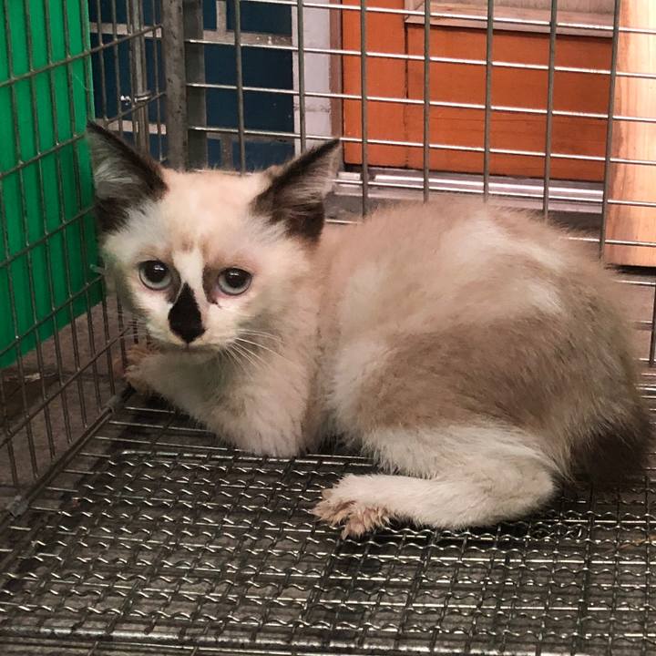 Daf7ae69 5676 485a bb4c 8a2f8b89b15b 1658324879278