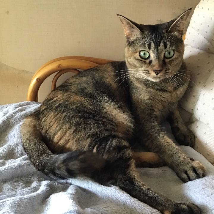 Daf7b136 883e 4784 8f70 1e6cf7023785 1628653788849